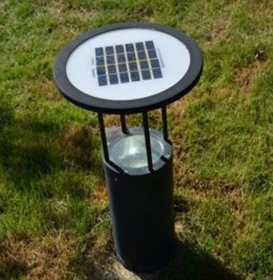 新城街道草坪灯